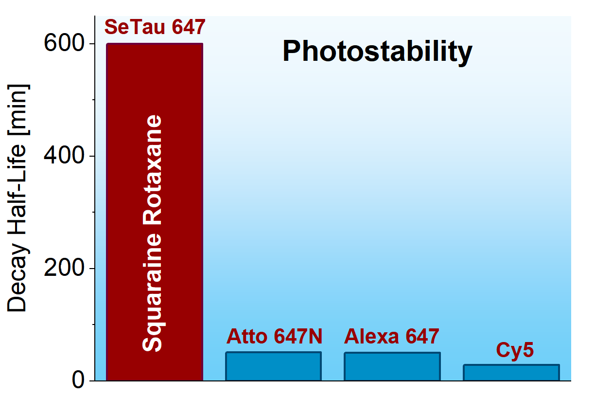 Photostability of squaraine rotaxanes