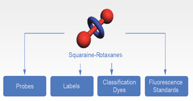 Polarization Labels