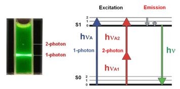 2-Photon excitation